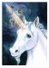 QS Unicorns Magic.jpg