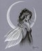 Silver Moon Fairy.jpg